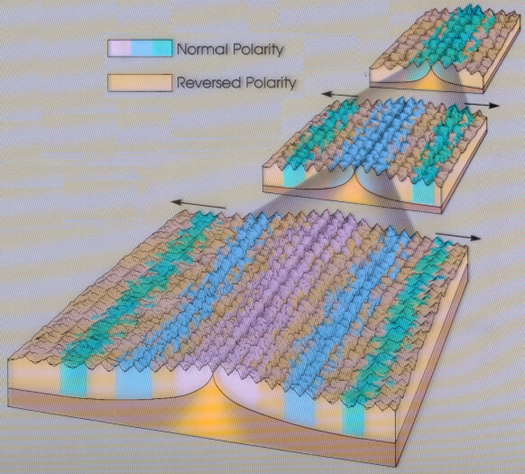 Magnet Strip, South Polarity