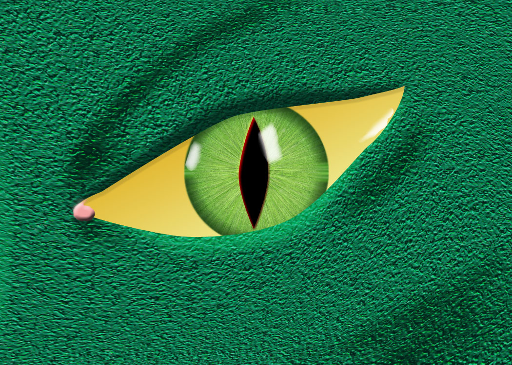 green reptile eye